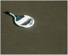 Load image into Gallery viewer, 793
