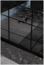 Load image into Gallery viewer, 385
