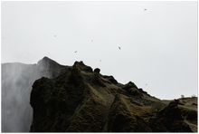 Load image into Gallery viewer, 284
