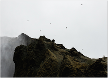 Load image into Gallery viewer, 284
