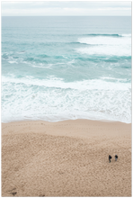 Load image into Gallery viewer, 951
