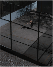 Load image into Gallery viewer, 385
